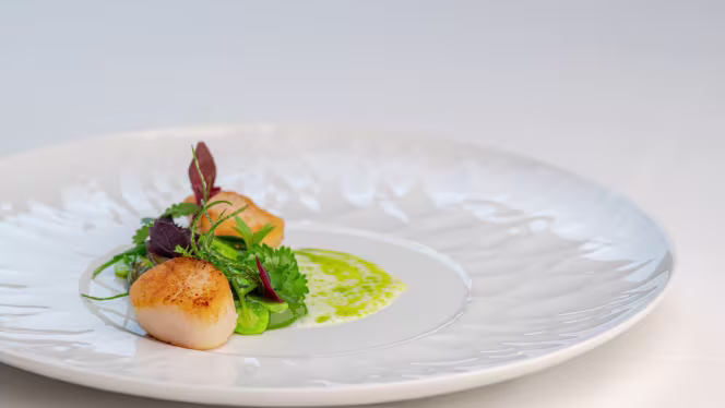 Molikè - L'Ancora Estivo - 3