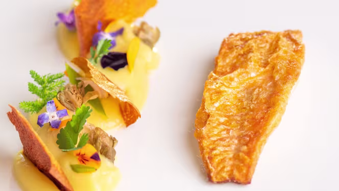 Molikè - L'Ancora Estivo - 0