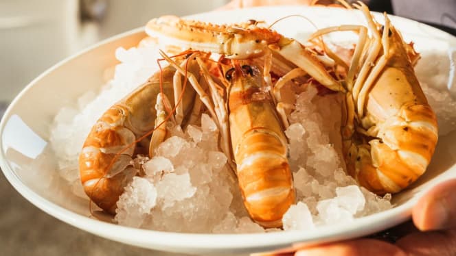 Specchia Sant'Oronzo - 3