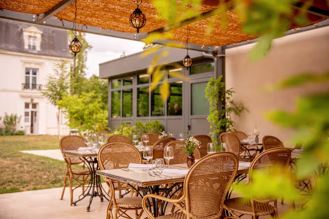 Le Cypres Chauve - 4