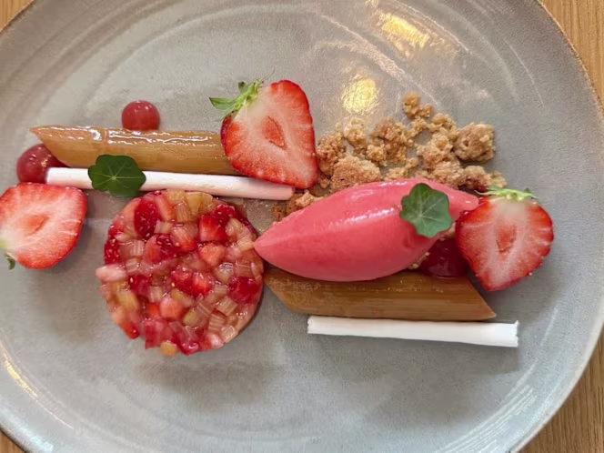 Le Cypres Chauve - 7