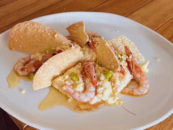 Hincha Sotogrande - 1