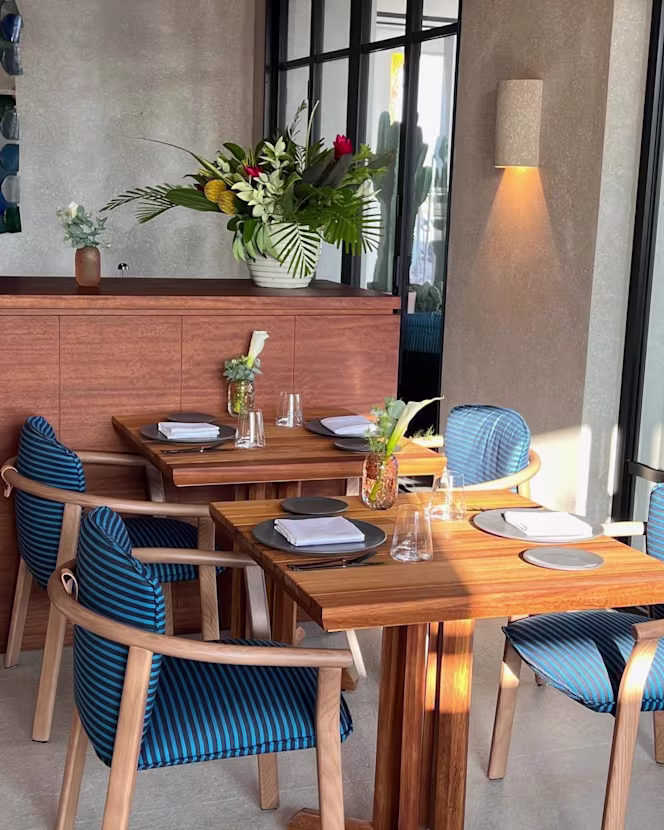 Hincha Sotogrande - 0