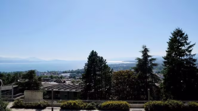 Restaurant le Boisy - Lausanne - 5