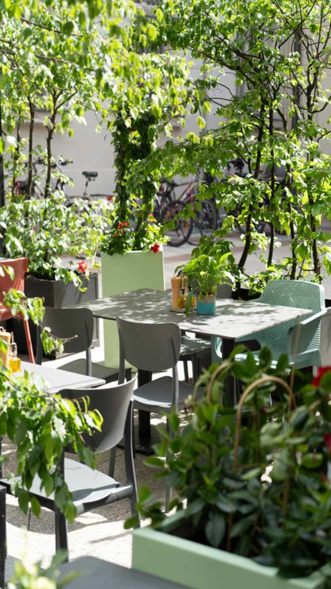 Pino Restaurant - 2