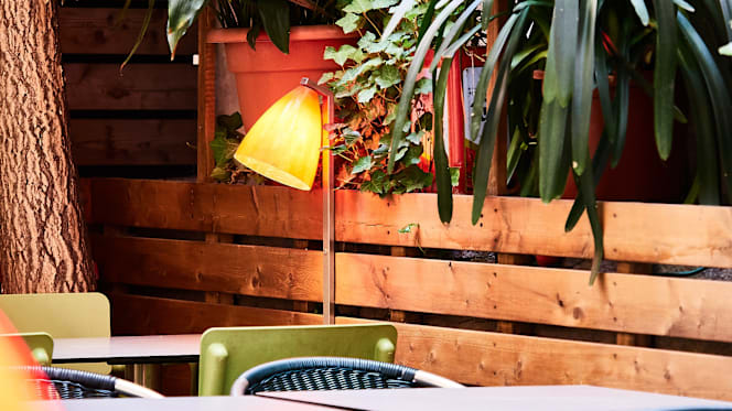 SIN Asiatisch Fusion Kitchen - 2