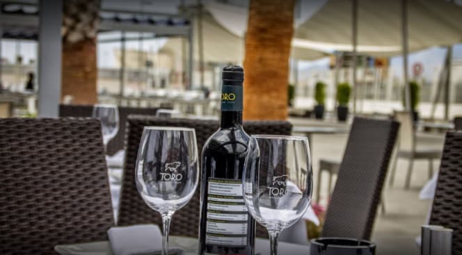 Toro Puerto Marina - 7