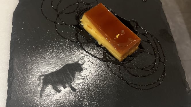 Toro Puerto Marina - 2