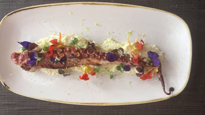 Melagodo - Paris - 5