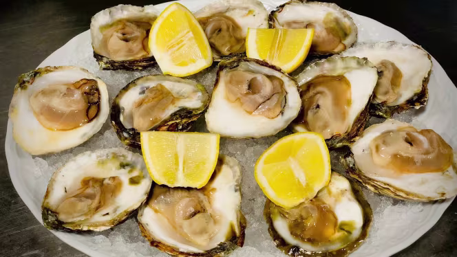 El Timón Del Terraza - 6