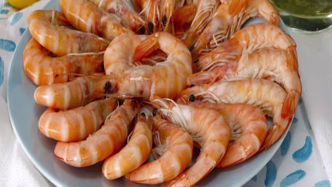 El Timón Del Terraza - 5