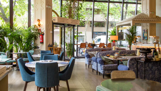 Sushita Café - Miguel Ángel - Madrid - 0