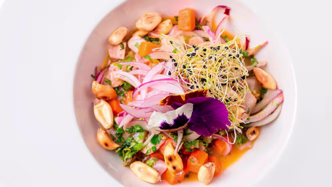 Fonda Llabrés, desde 1957 - 3