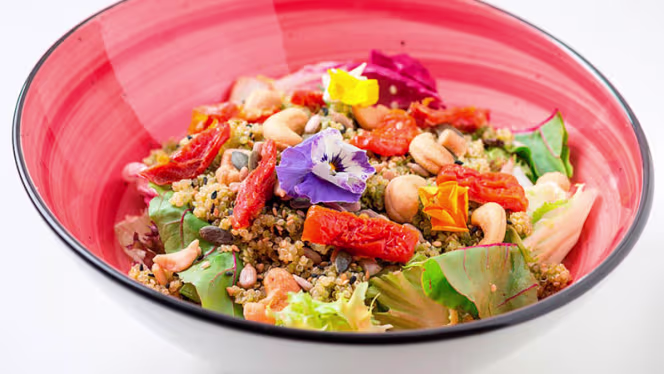 Fonda Llabrés, desde 1957 - 9