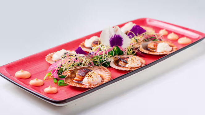 Fonda Llabrés, desde 1957 - 5