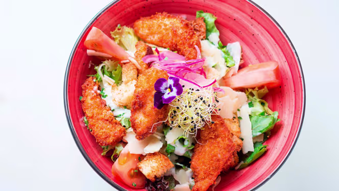 Fonda Llabrés, desde 1957 - 6