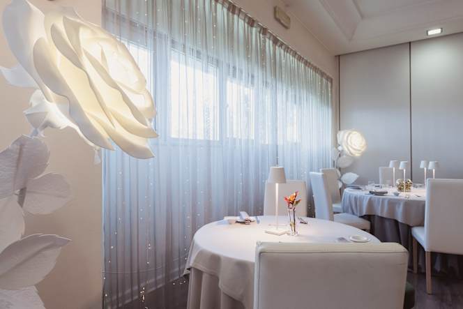 Garden Experience - 7