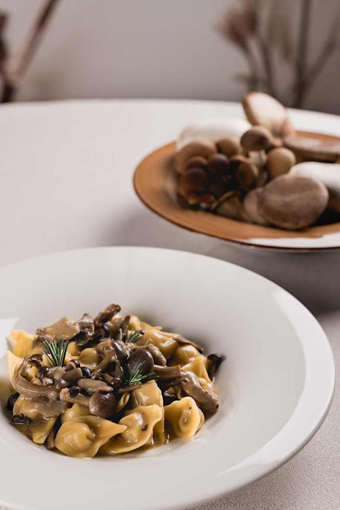 Garden Experience - 0