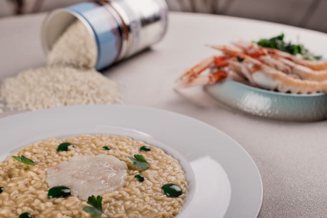 Garden Experience - 4