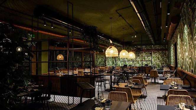 Sushi Jo Anagnina - 7