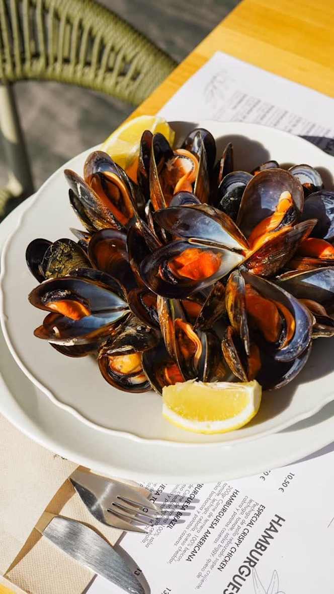 Restaurant VENEZIA - 0