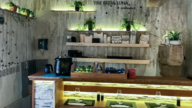 The Red & Luna - 2