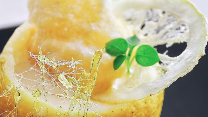 Belvedere - Imperial Hotel Tramontano - 8