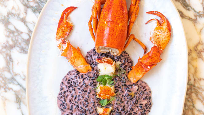 Palm Tree - Beach House Cascais - 7