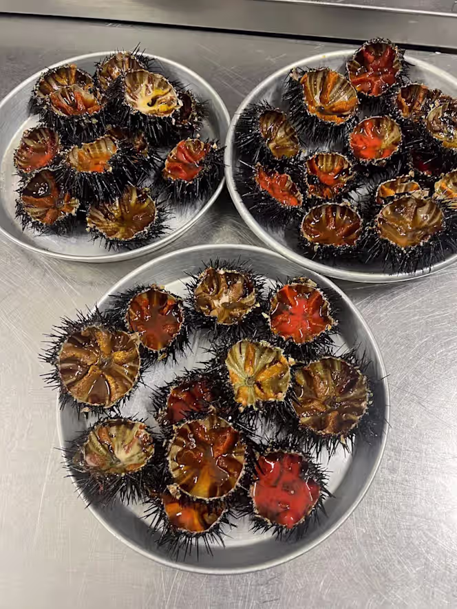 Nikale ristorante - 4