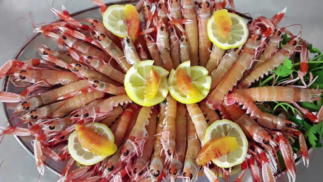 Antico Caffè Toti Pisa - 5