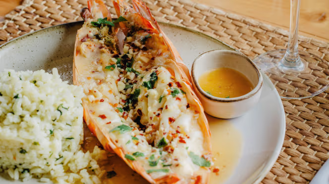 Well Vale do Lobo - 2