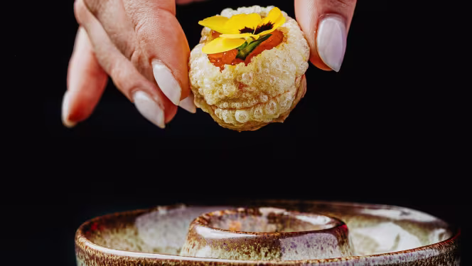 Well Vale do Lobo - 8