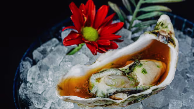 Well Vale do Lobo - 7