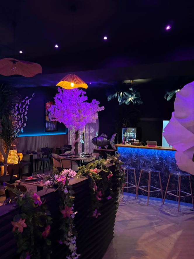 O My Sushi - Restaurant - Cannes