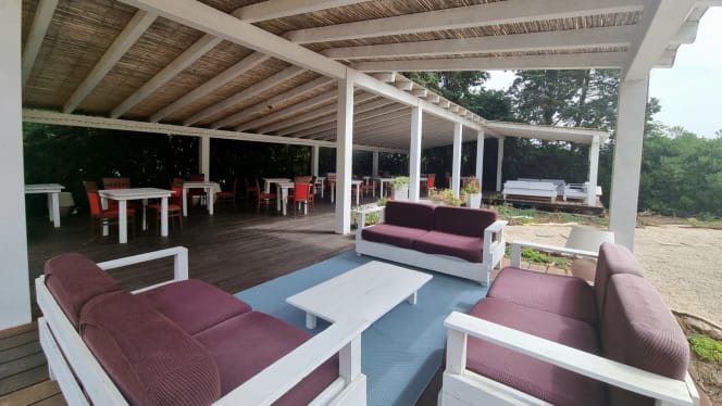 Carduus c/o Is Benas Country Lodge - 7