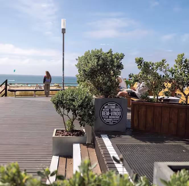 Lizandro Surf Restaurant & Bar - 3