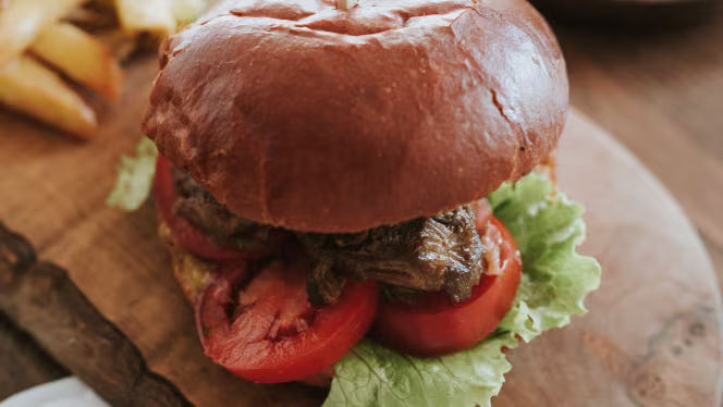 Terraço Editorial - 1