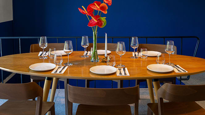 Borboleta - Porto - 6