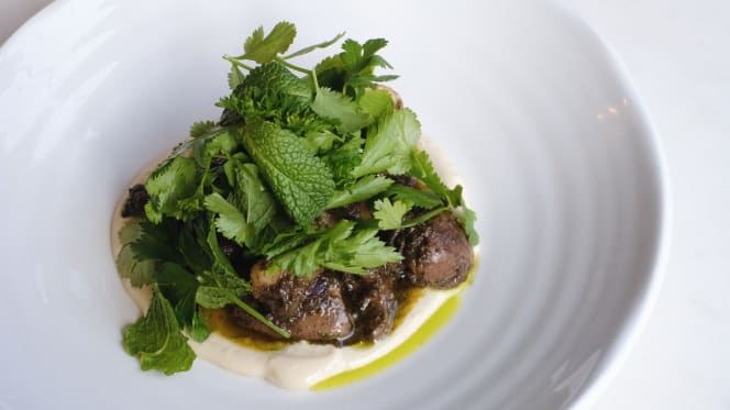 Borboleta - Porto - 4