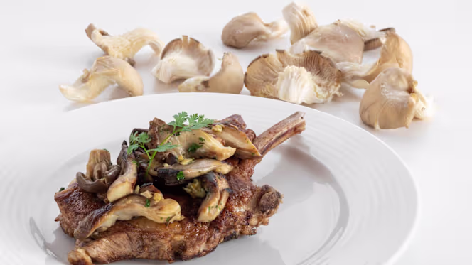 Hôtel du Commerce - 1