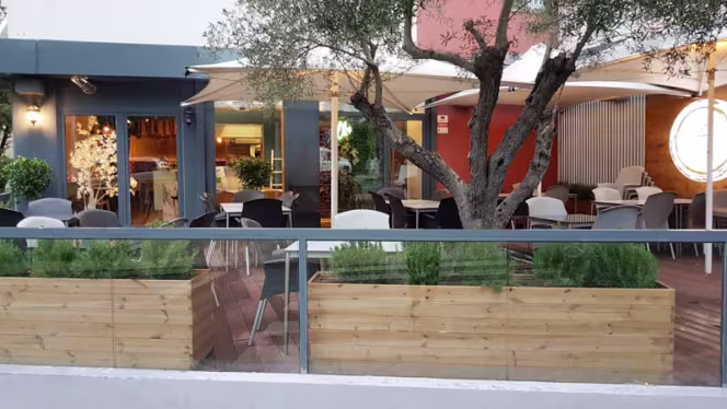 Olivo Ristorante Italiano - 0