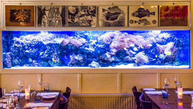 Lucius Visrestaurant - 9