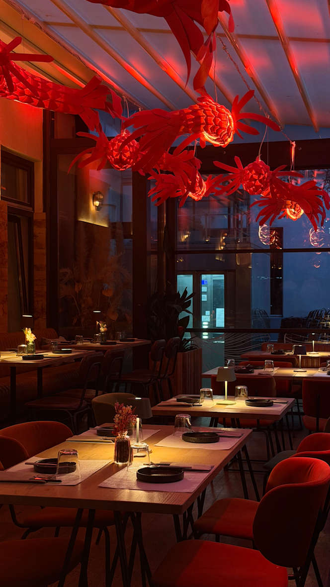 Umami 101 - 0