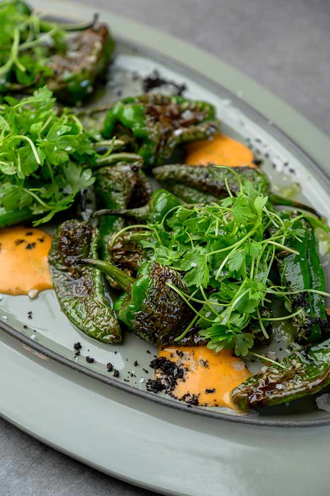 Restaurant CATCH - 4