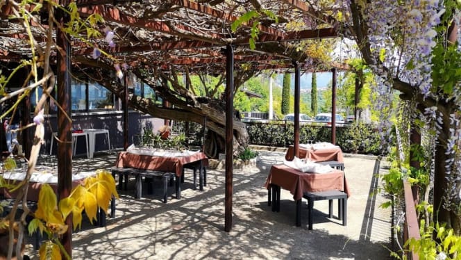 Al Glicine - Erba - 4