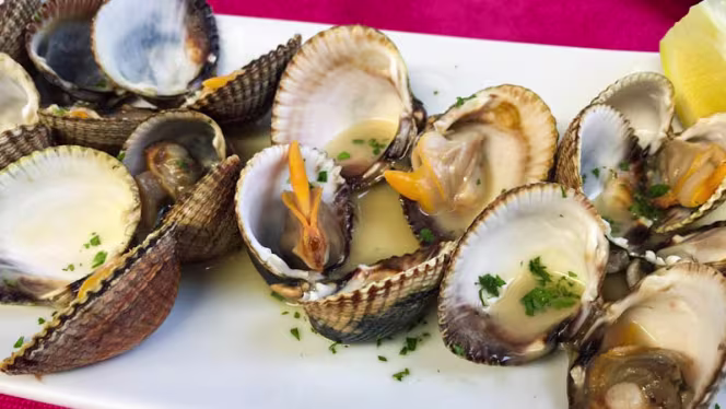 La Barra del Mercat - Elx - 8