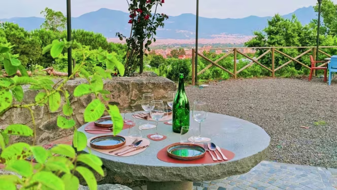 Vaisló Food&Wine Lab - 0