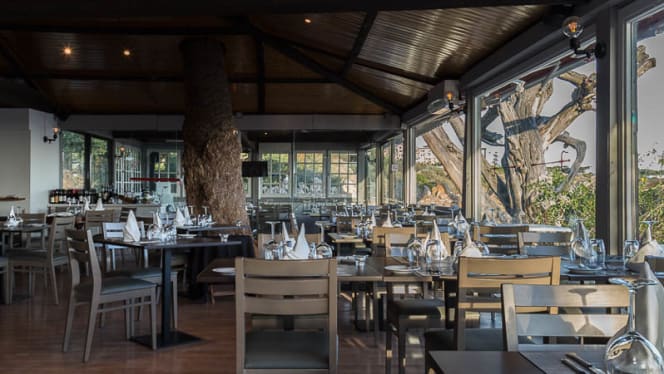 Os Prazeres da Carne - 5