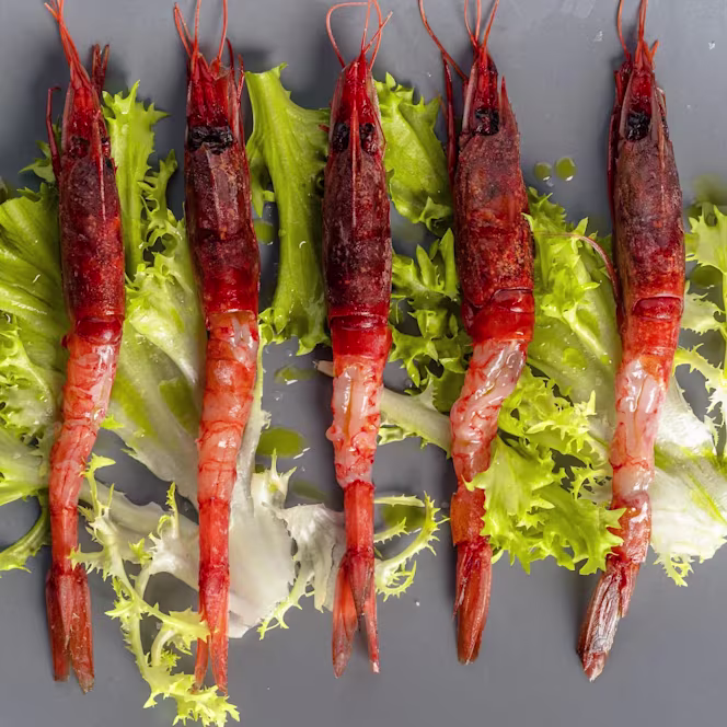 Emilio Osteria di Mare - 0