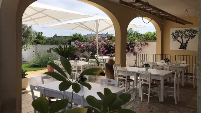 La Corte degli Ulivi - Vignacastrisi - 0